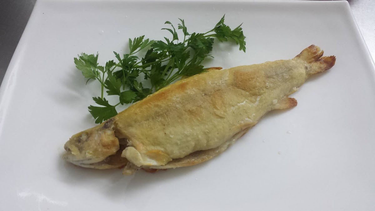 Stara Brovarnia Photos 2